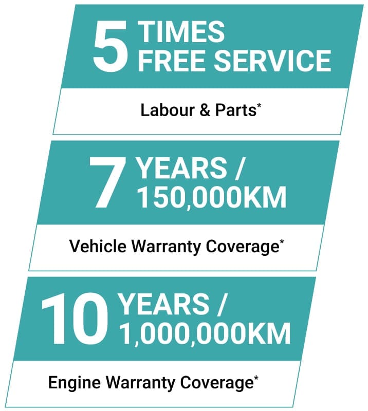 Dashing warranty.jpg